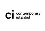 contemporary istanbul