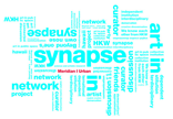 synapse